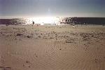 the beach at Freemantle