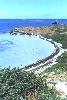 wide view of beach on Penguin Island