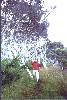 Erik and some paper-bark trees at Walpole