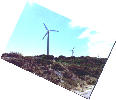 long view of windmills at Esperance
