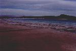 Lucky Bay - a beach near Esperance