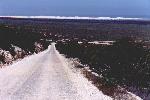 gravel road to the beach