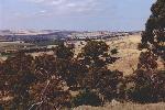 view of the Barossa Valley