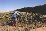 Christiane with the prickly-pear cactus