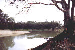 the Murray river near Gunbower
