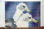 sea gull mosaic glued to backing board